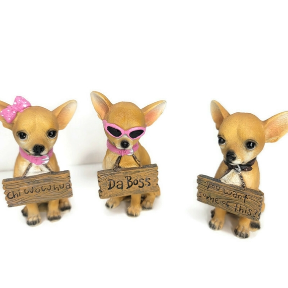 Sassy chihuahua set of 4. They have sun glasses and sassy signs. - Picture 3 of 6